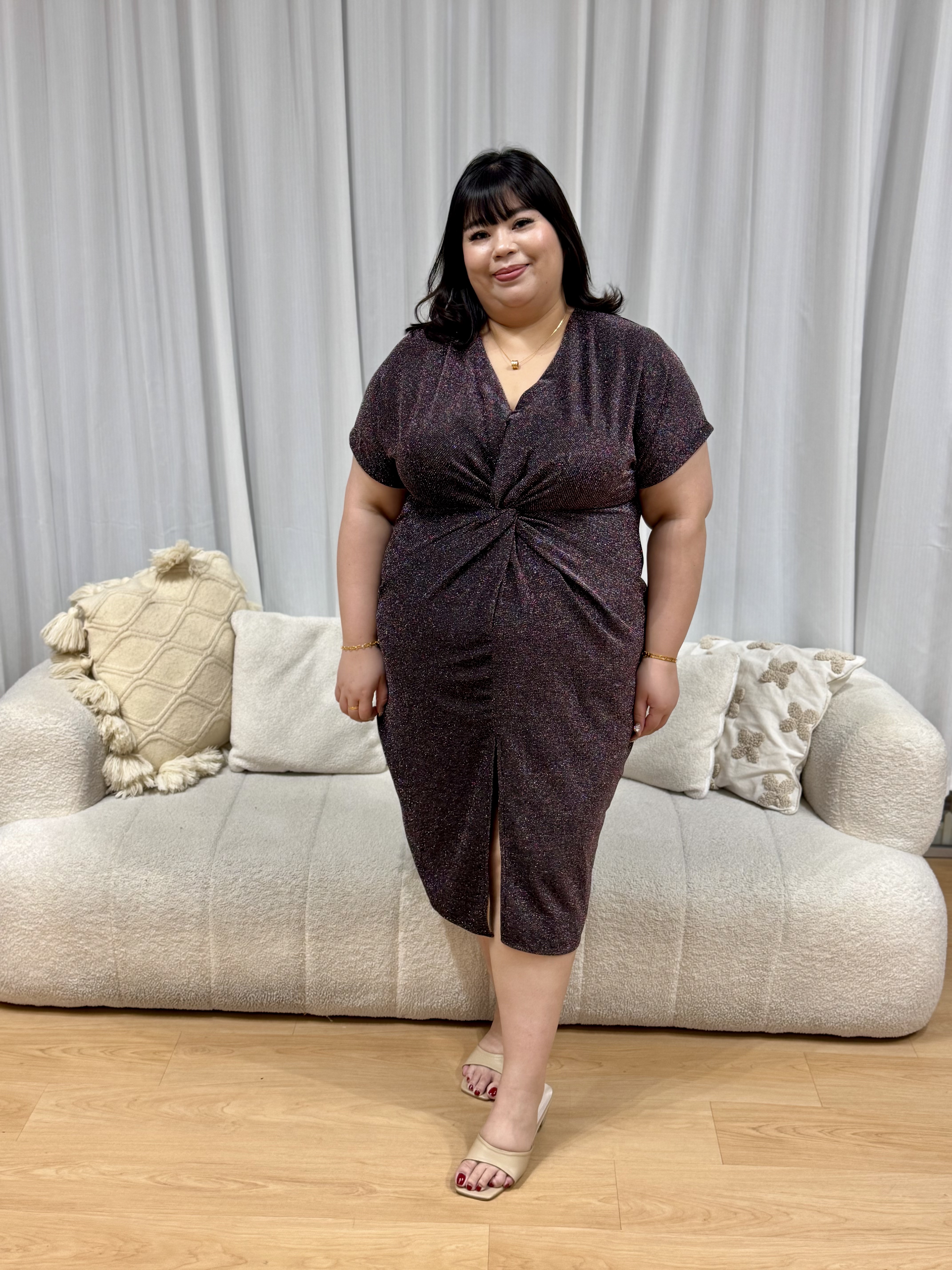 Nicole Shimmering Splendid Dress | Plus Size Dress