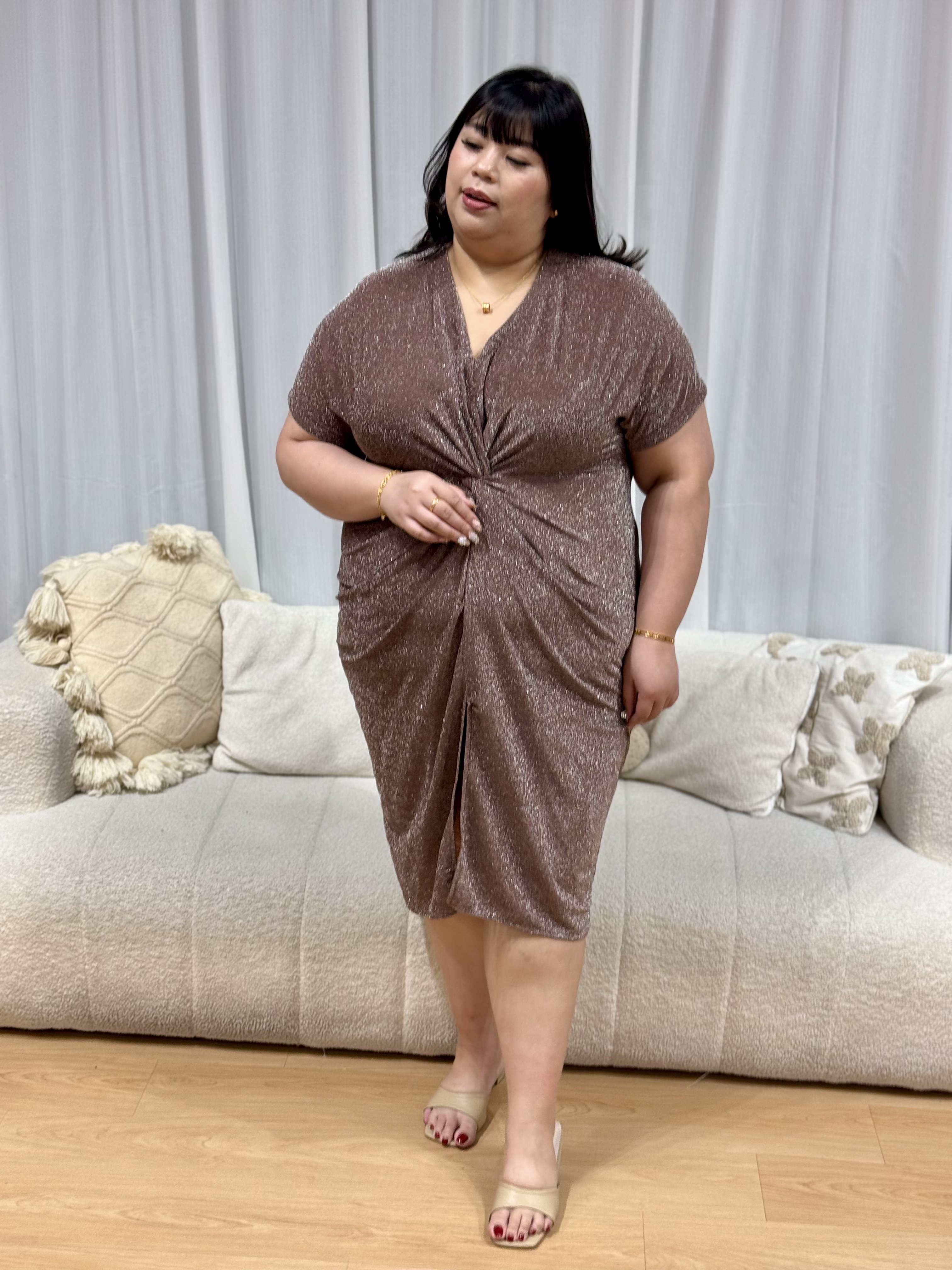 Nicole Shimmering Splendid Dress | Plus Size Dress
