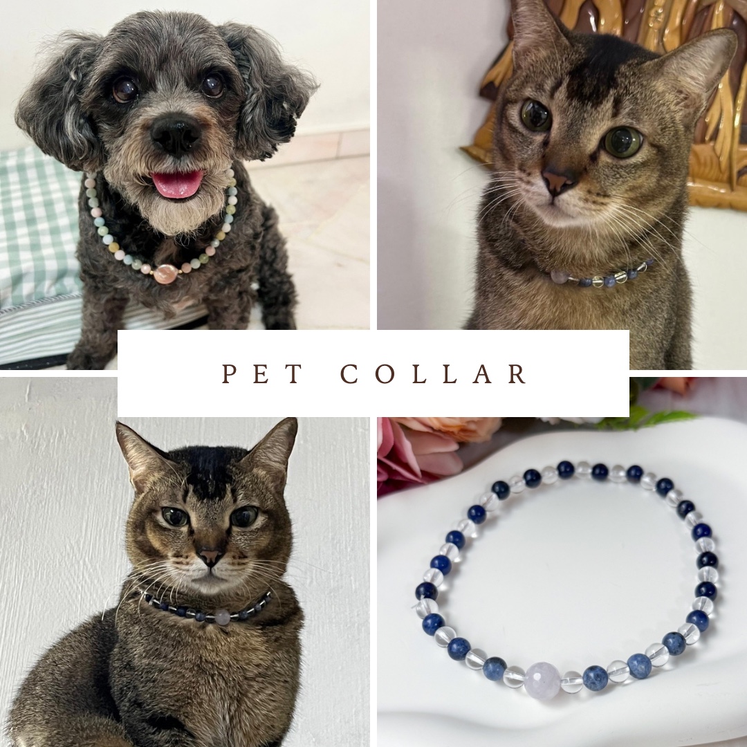 Bespoke Pets Collar