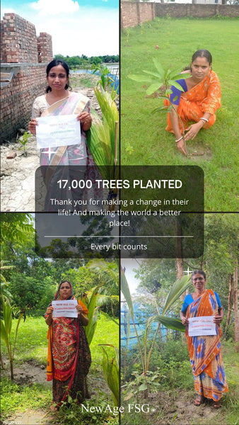 17,000 Trees Planted!