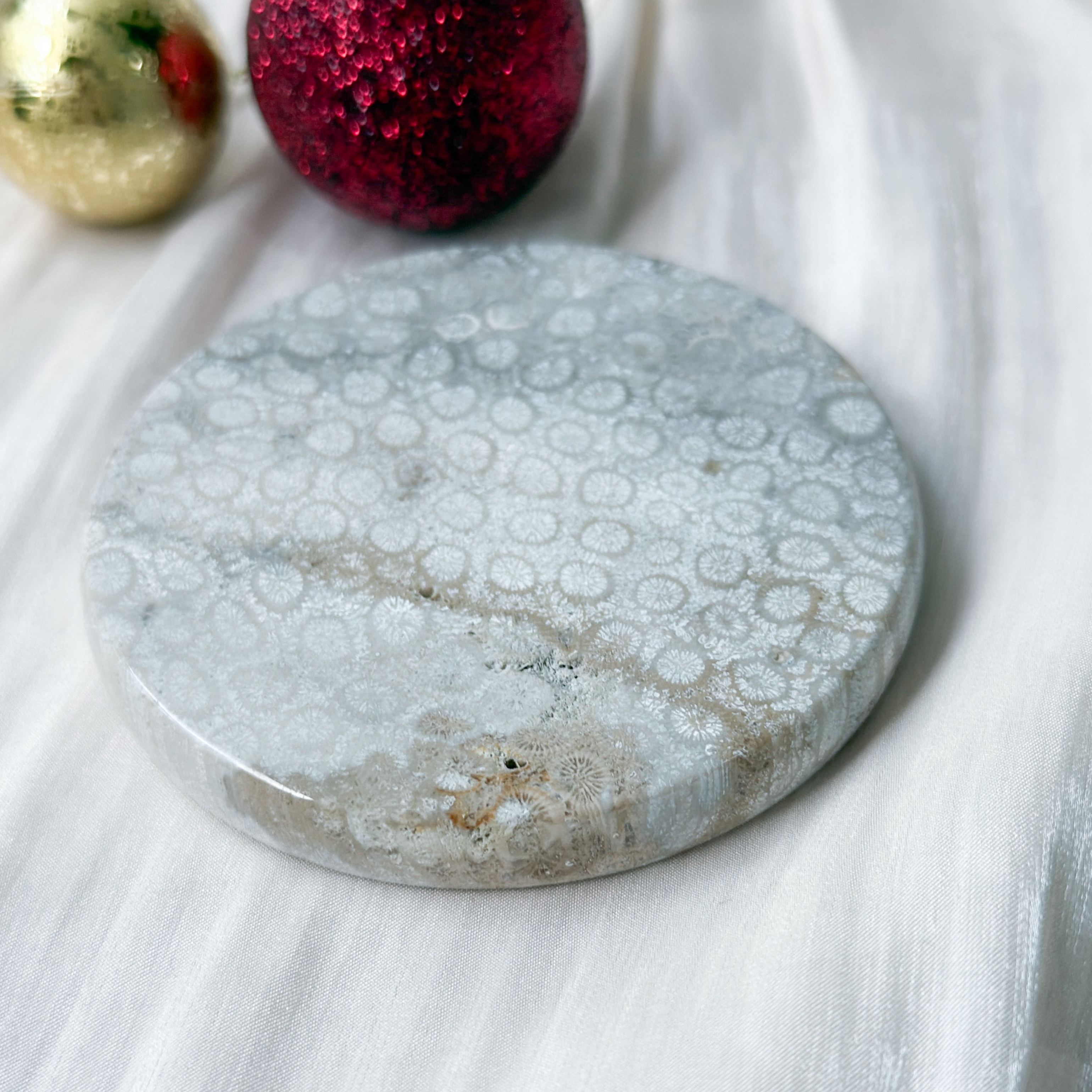 Fossilised Coral [Black Friday]