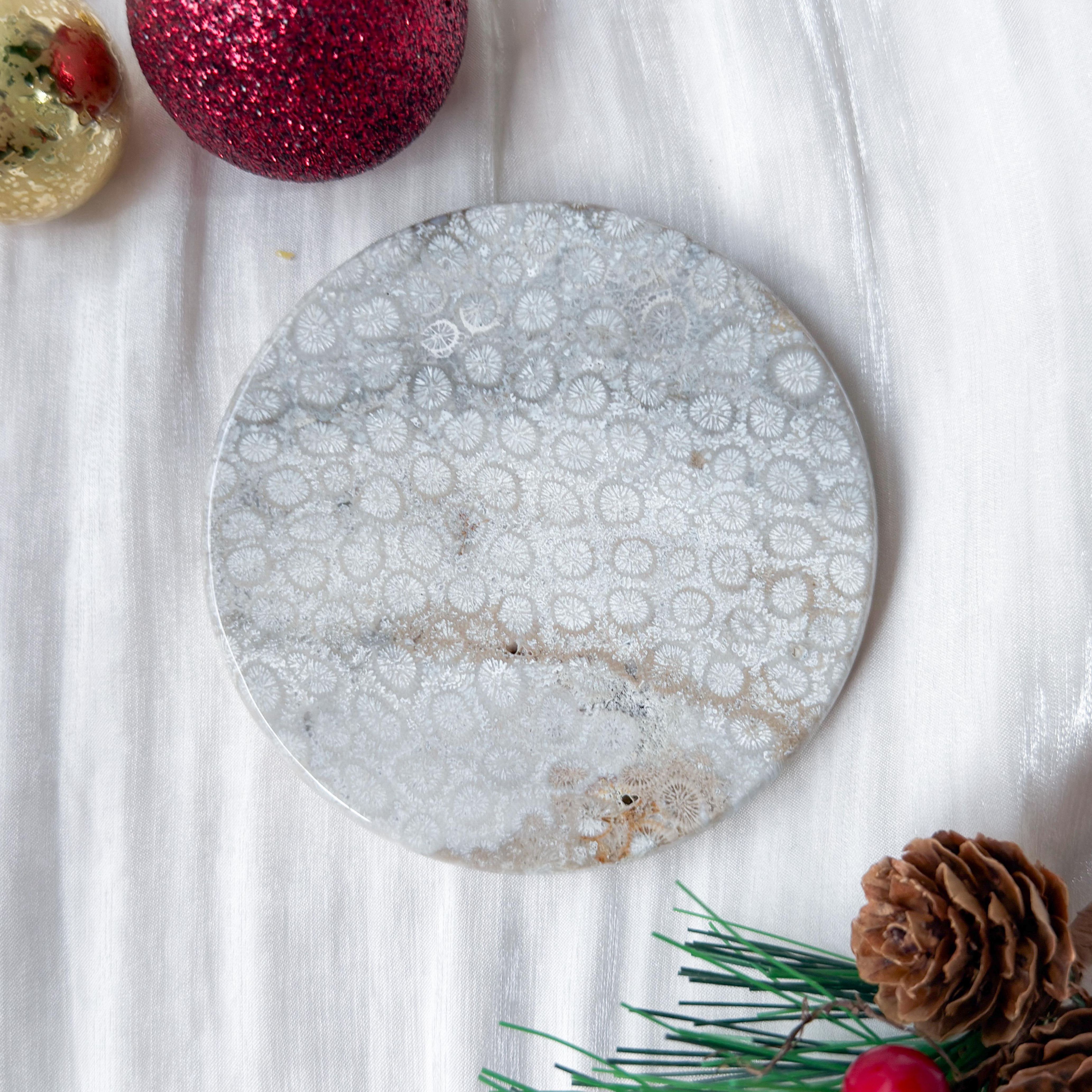 Fossilised Coral [Black Friday]