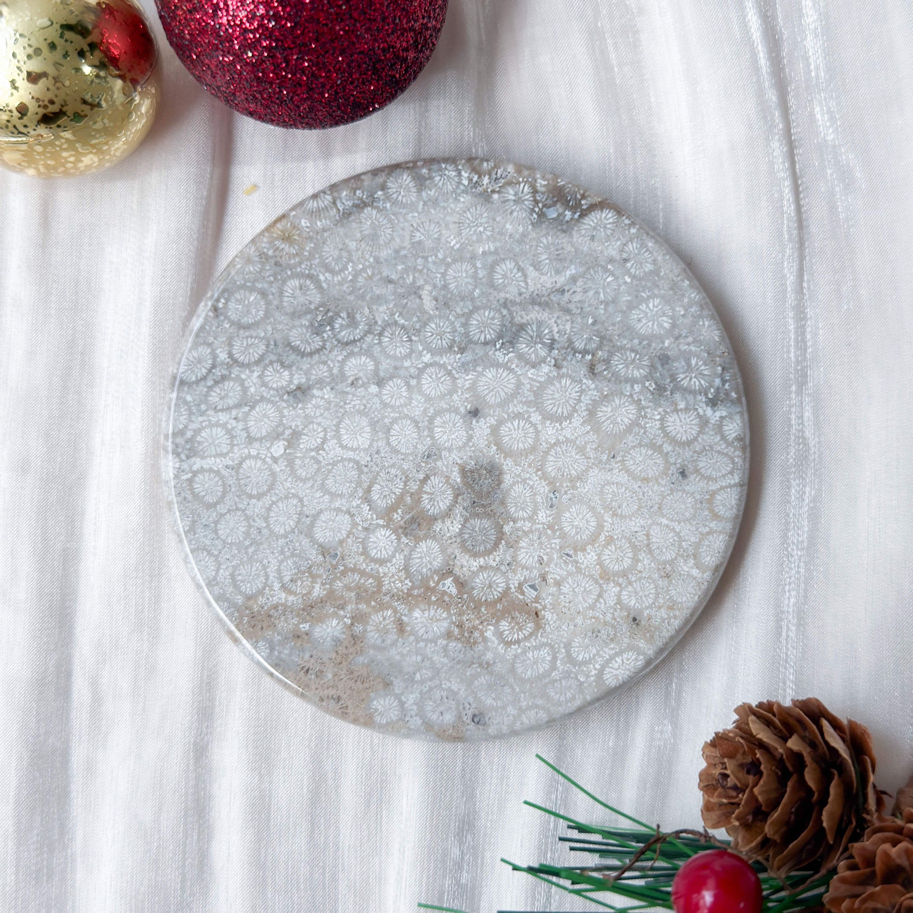 Fossilised Coral [Black Friday]