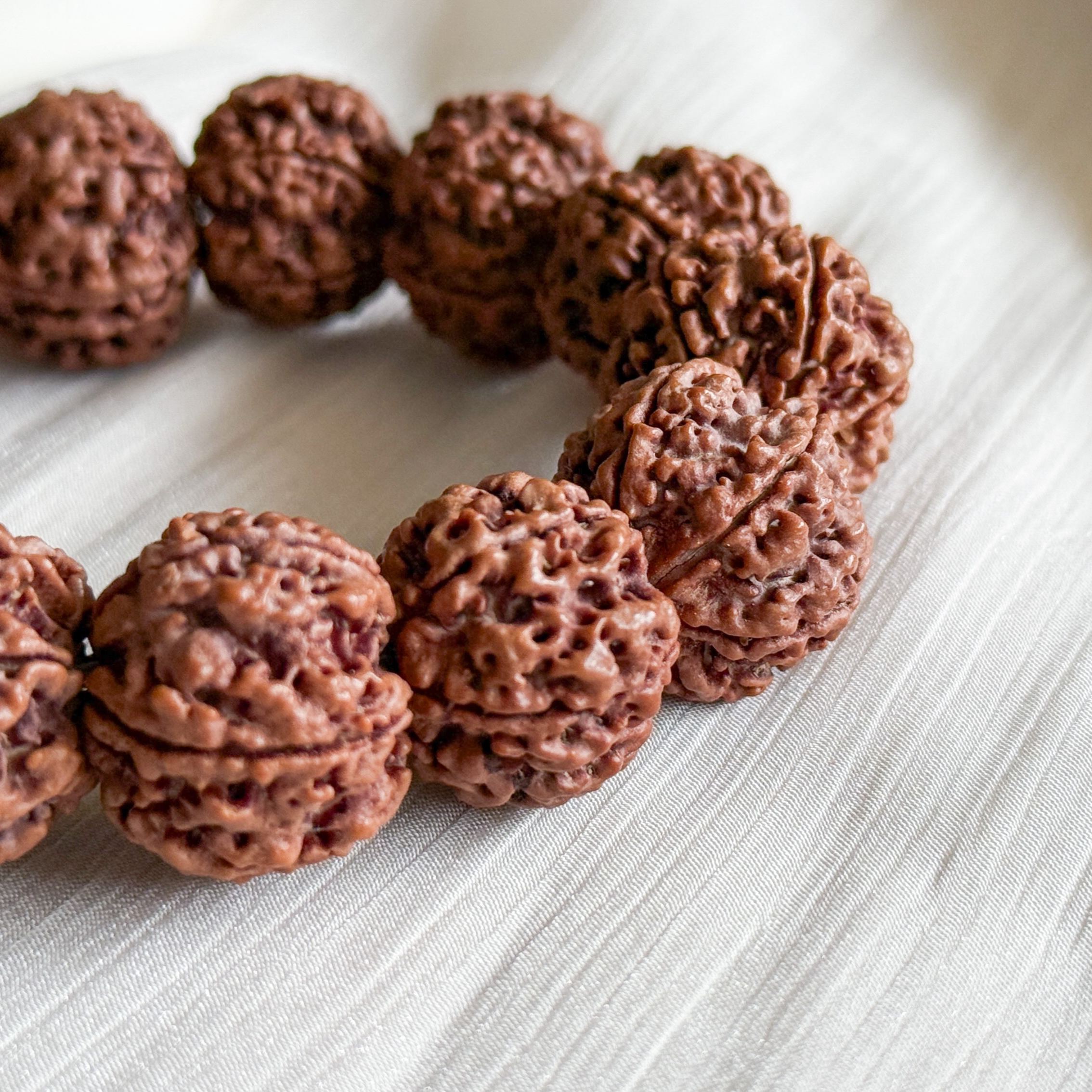 Natural Rudraksha AAA+ Bracelet
