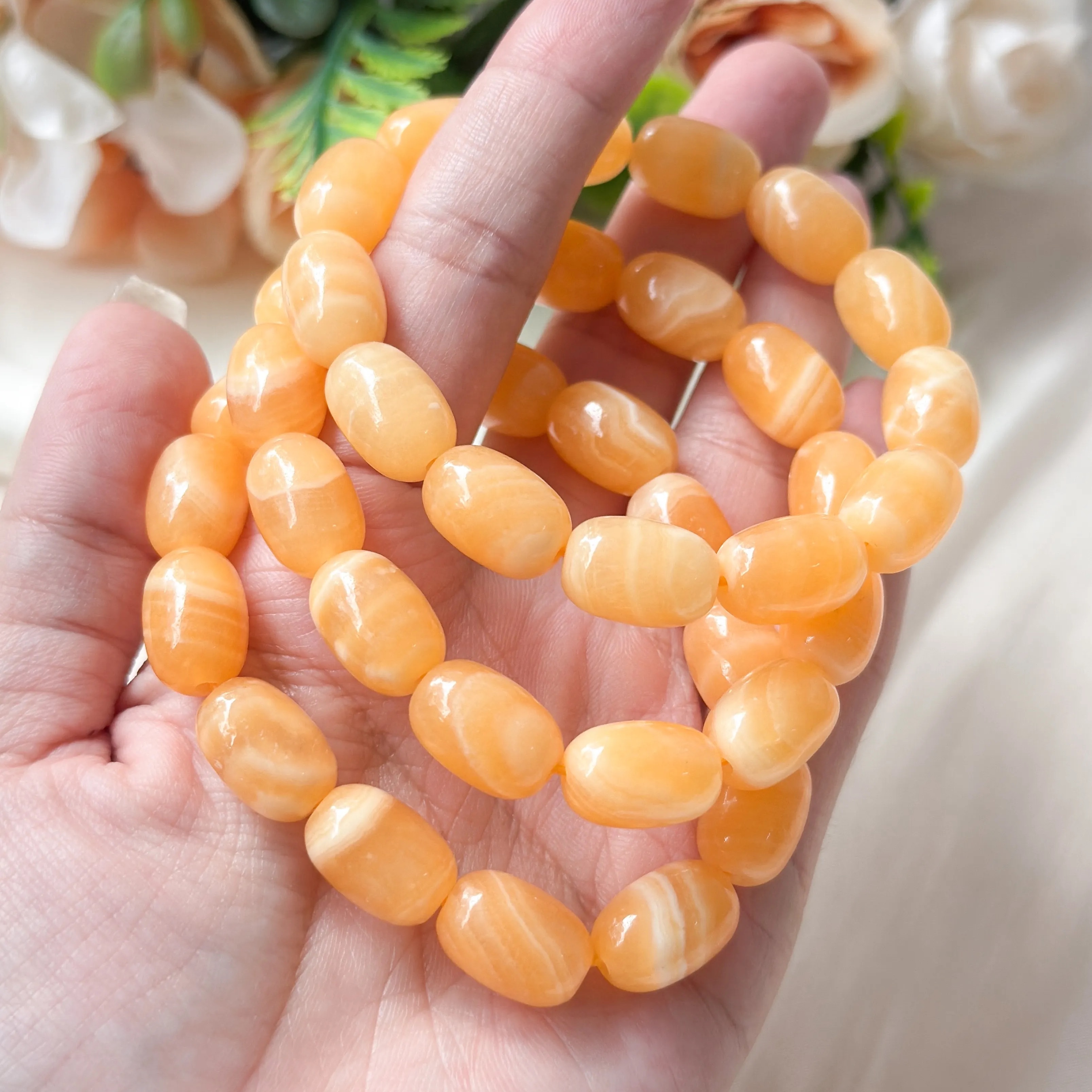 Golden Tridacna Gigas Oval Canister AAA Bracelet