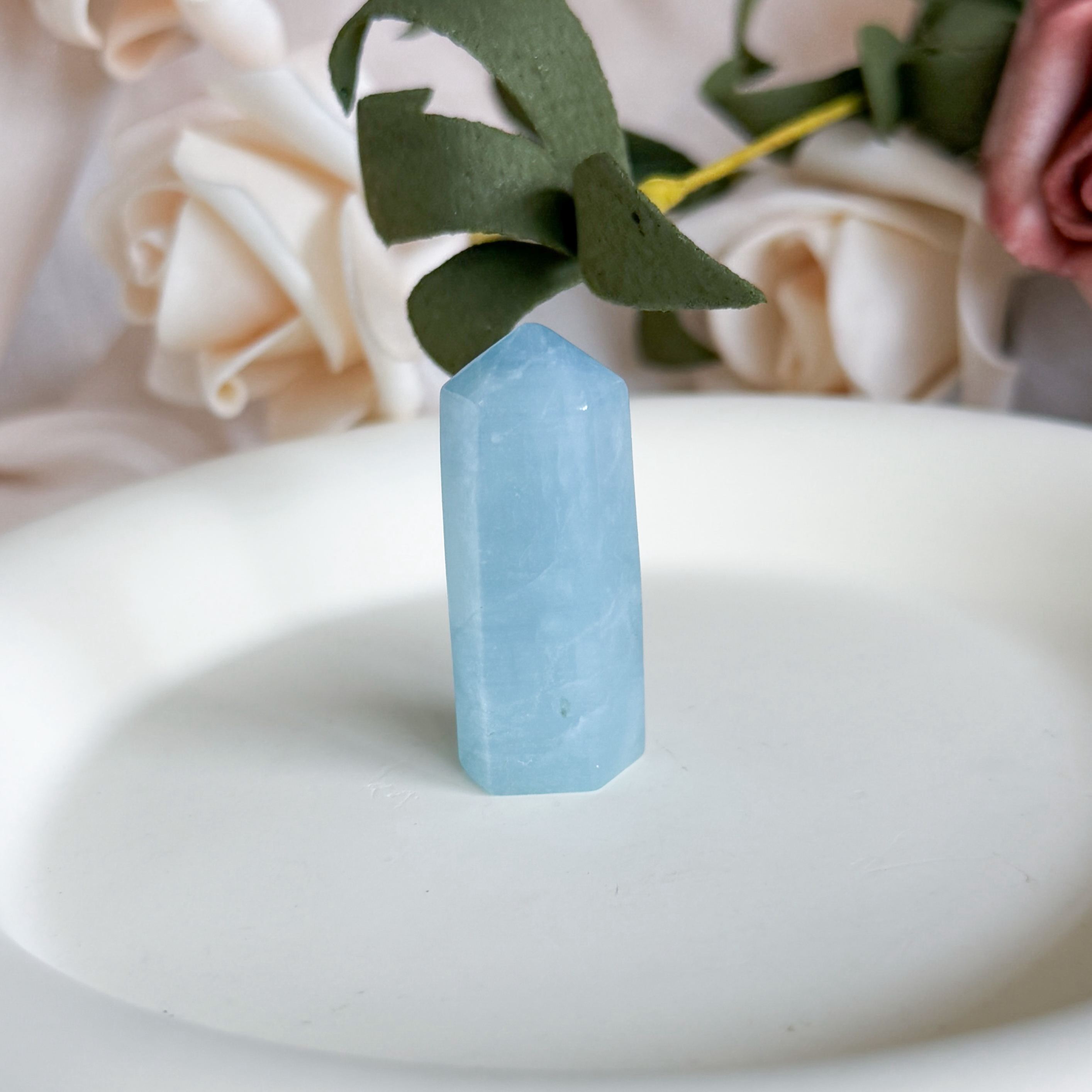 Aquamarine Mini Pointer