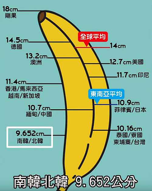 鼎新生醫丁丁長度粗度硬度哪個比較重要
