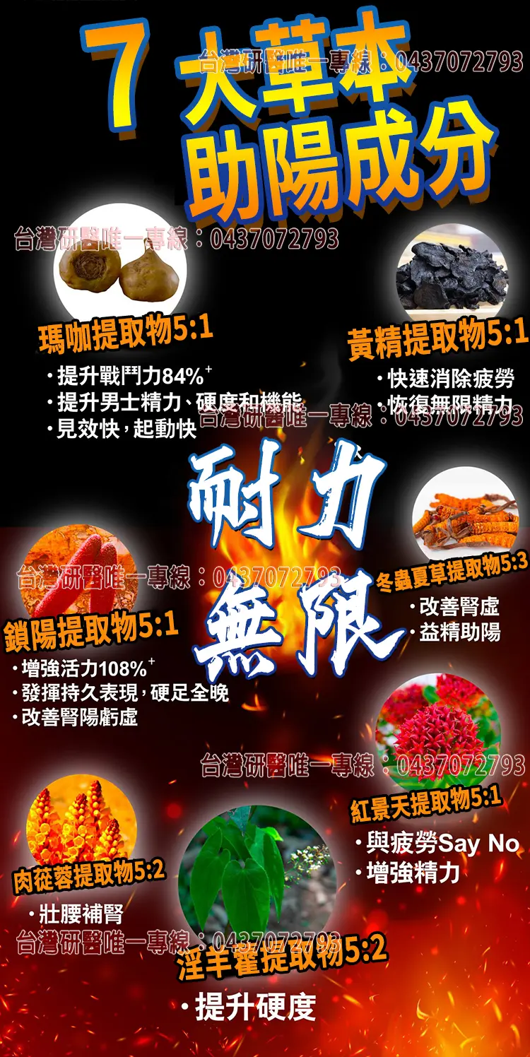 猛豹久硬挺配方