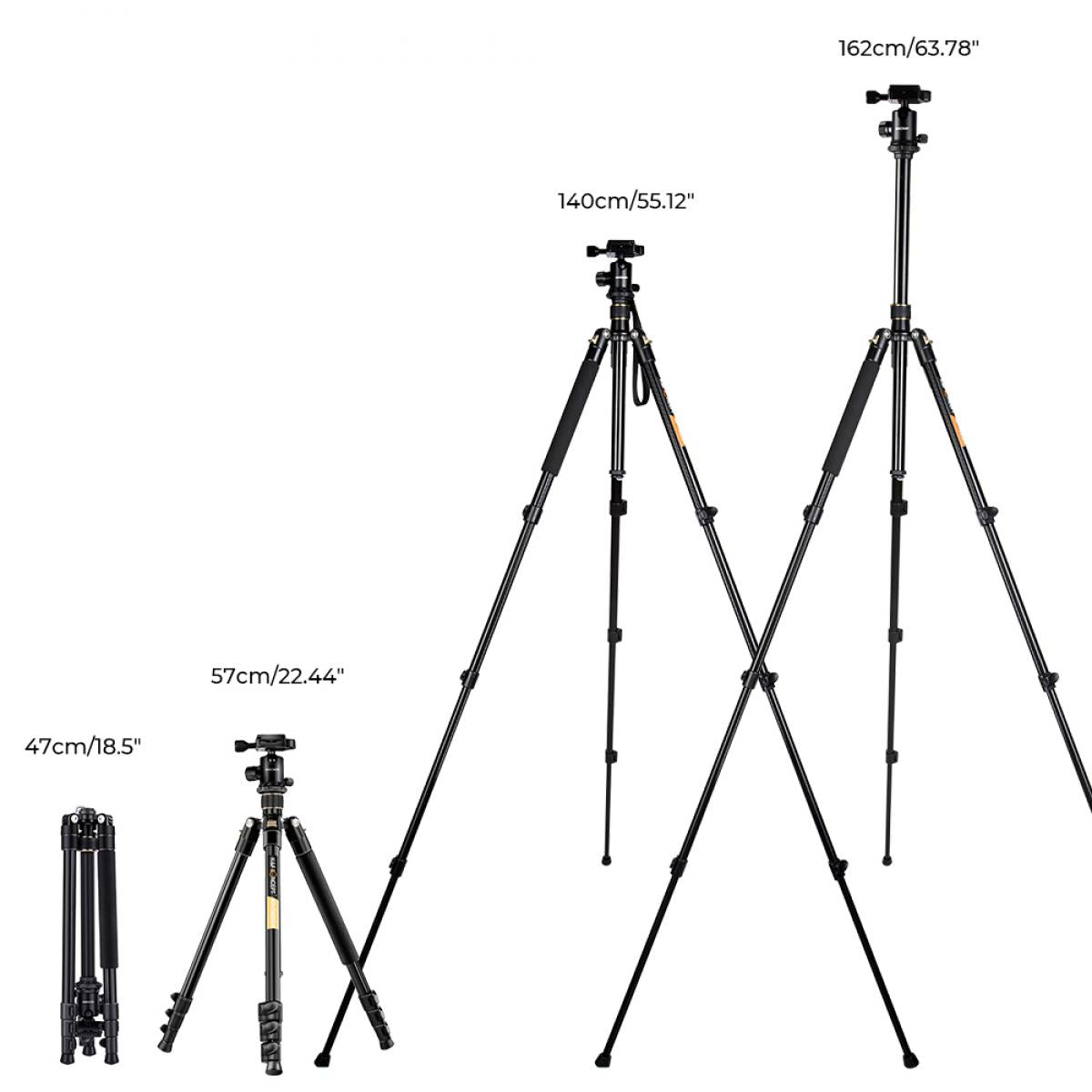 Lightweight Travel Tripod Camera Tripod 63.8''/162cm 10kg/22lbs Load Capacity 360�� Panorama Ball Head for Canon Sony Nikon SLR DSLR B234A1+BH-28