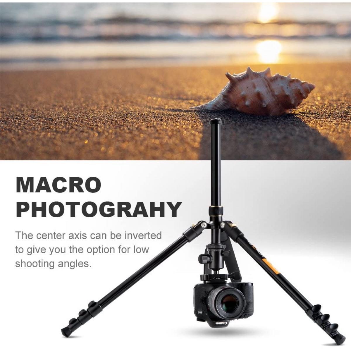 Lightweight Travel Tripod Camera Tripod 63.8''/162cm 10kg/22lbs Load Capacity 360�� Panorama Ball Head for Canon Sony Nikon SLR DSLR B234A1+BH-28