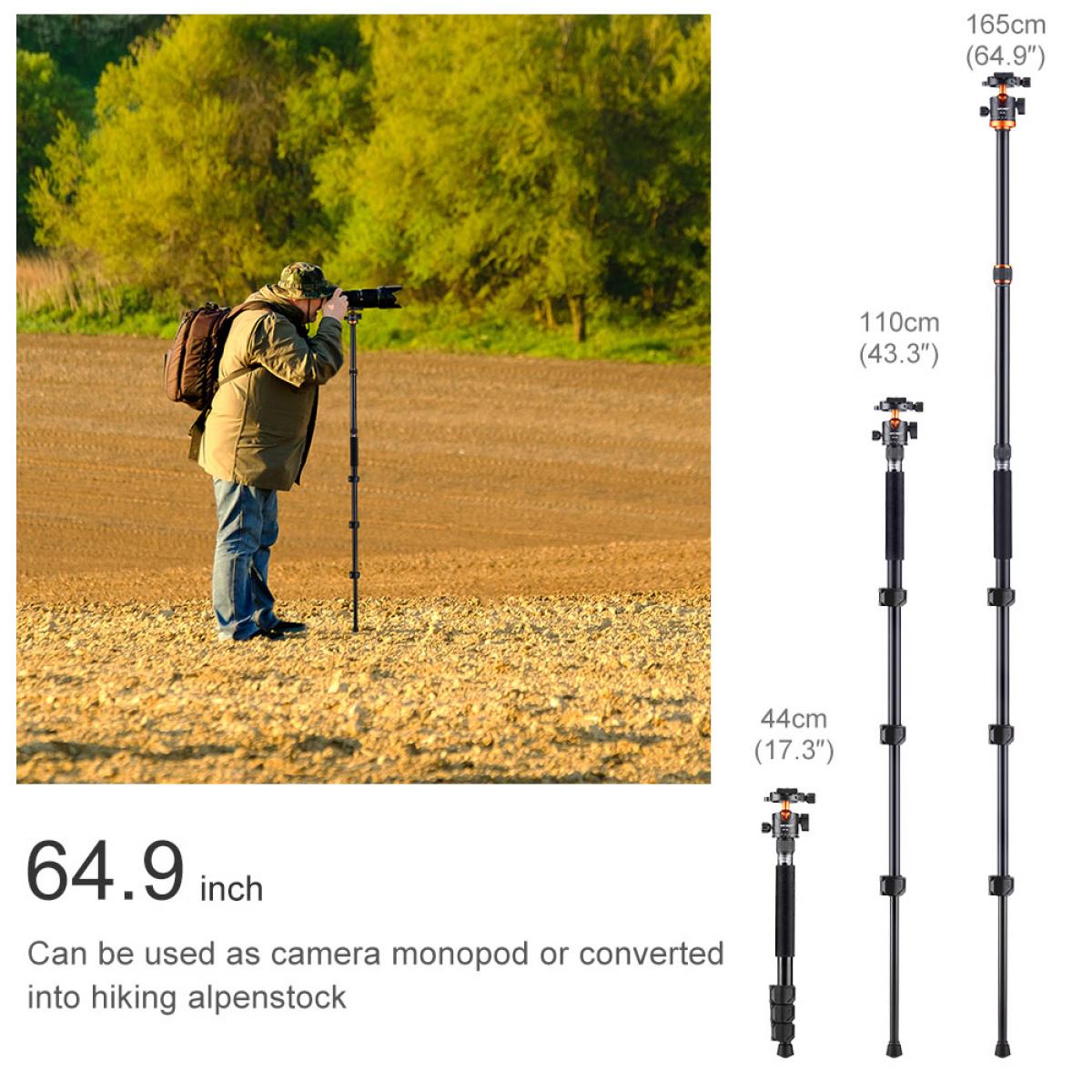 62''/1.6m Aluminum Tripod Detachable Monopod with Quick Release Plate, Ball Head and Compact Travel Carrying Bag SA254M1 for DSLR K254A1+BH-28L (SA254M1)