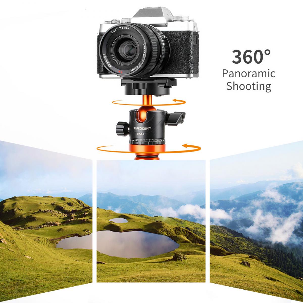 62''/1.6m Aluminum Tripod Detachable Monopod with Quick Release Plate, Ball Head and Compact Travel Carrying Bag SA254M1 for DSLR K254A1+BH-28L (SA254M1)