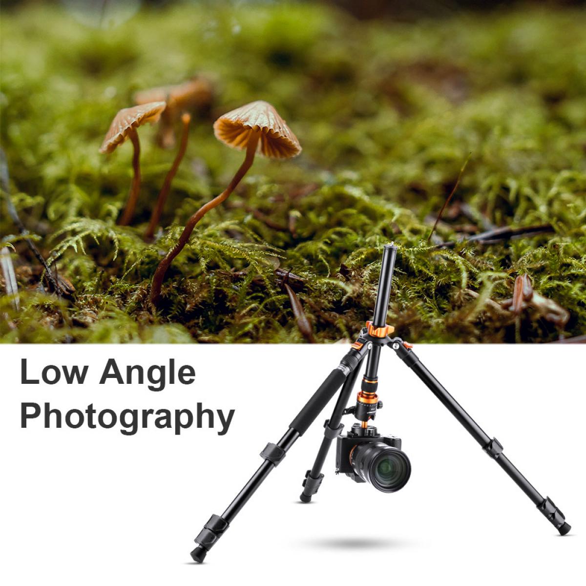 62''/1.6m Aluminum Tripod Detachable Monopod with Quick Release Plate, Ball Head and Compact Travel Carrying Bag SA254M1 for DSLR K254A1+BH-28L (SA254M1)