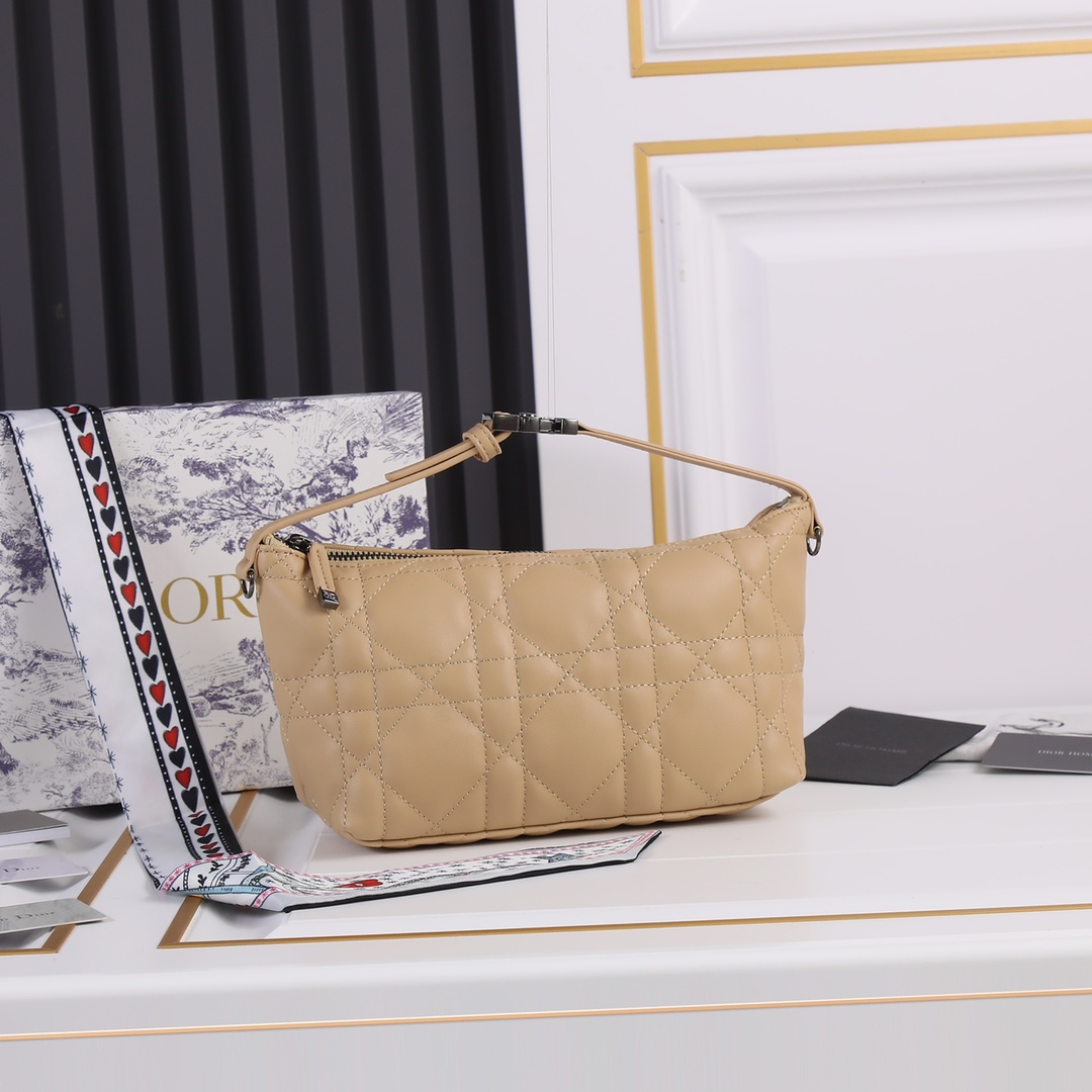 【DIOR】DIORTRAVEL NOMAD  -22 x 13 x 9.5 cm-6色