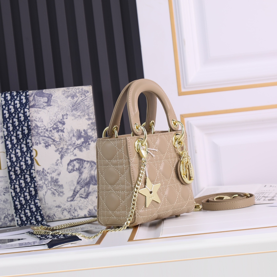 【ディオール】Dior lady 17 x 7.5 x 14cm -6色
