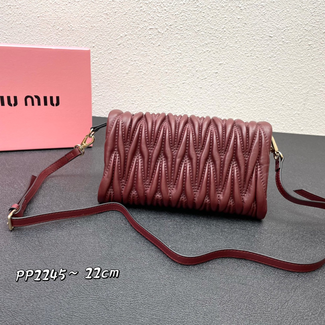 【MIUMIU】22x14x4cm  -4色