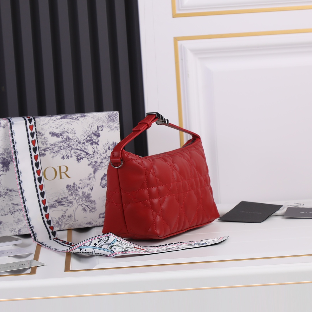 【DIOR】DIORTRAVEL NOMAD  -22 x 13 x 9.5 cm-6色