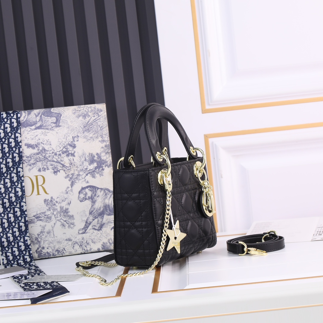 【ディオール】Dior lady 17 x 7.5 x 14cm -6色