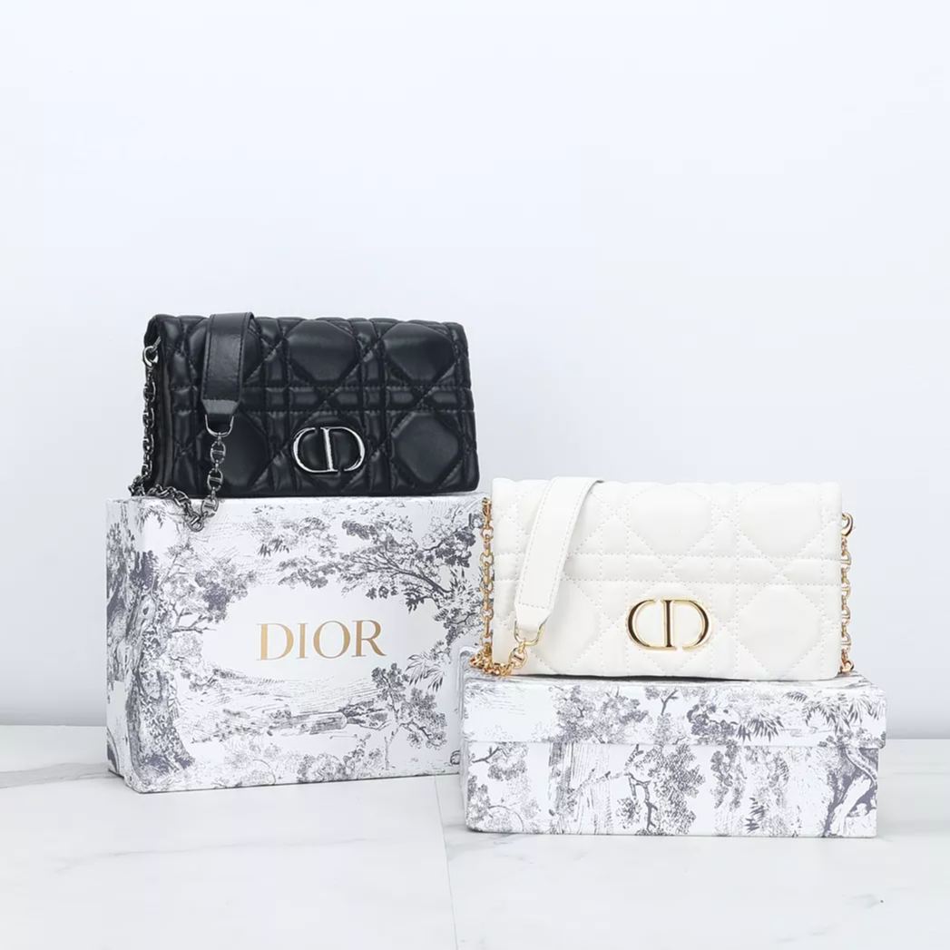 【DIOR】caro -19.5*11*6.5cm