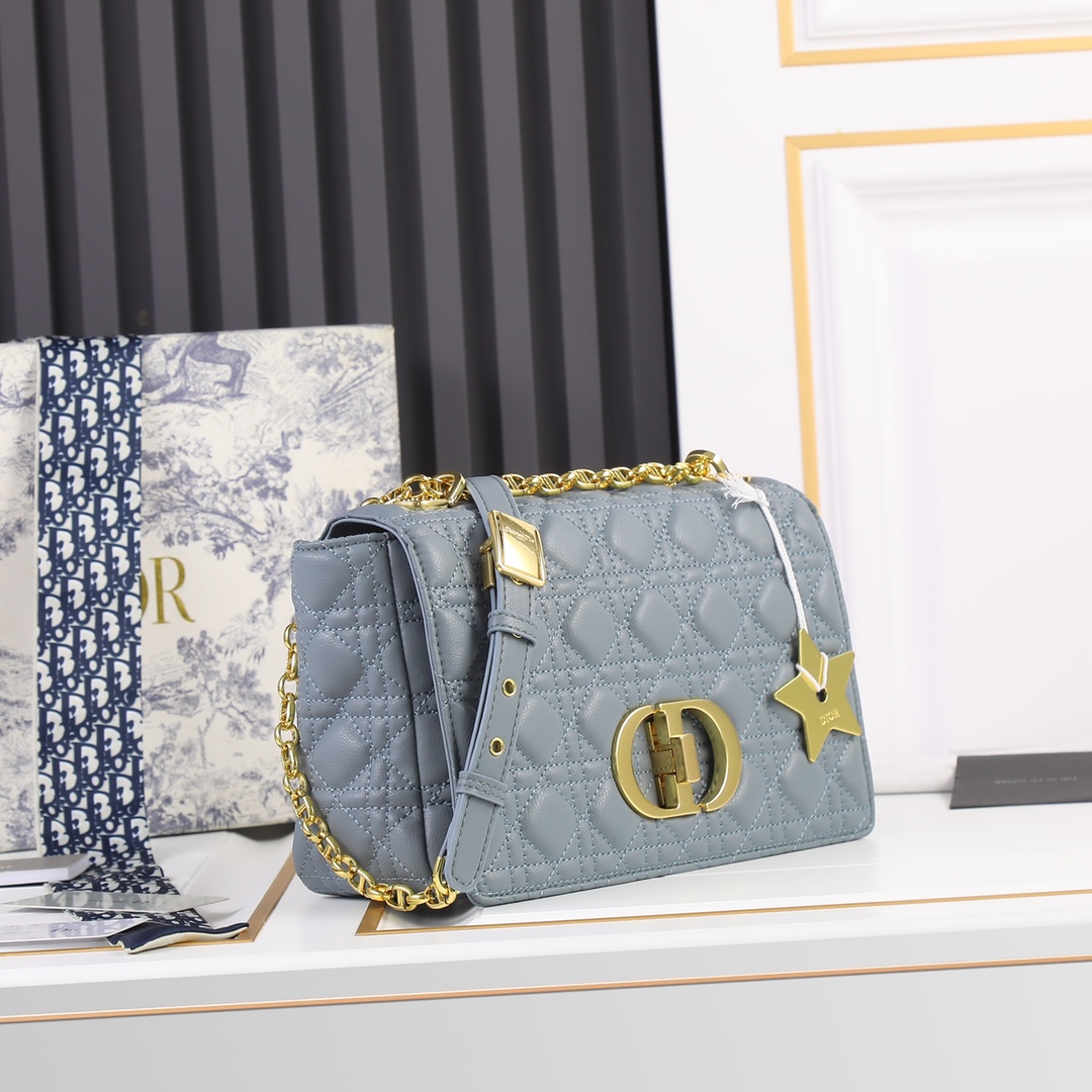 【ディオール】Dior 25-15-8 cm -6色