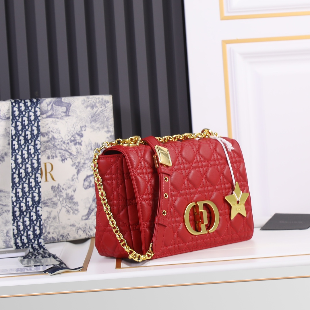 【ディオール】Dior 25-15-8 cm -6色