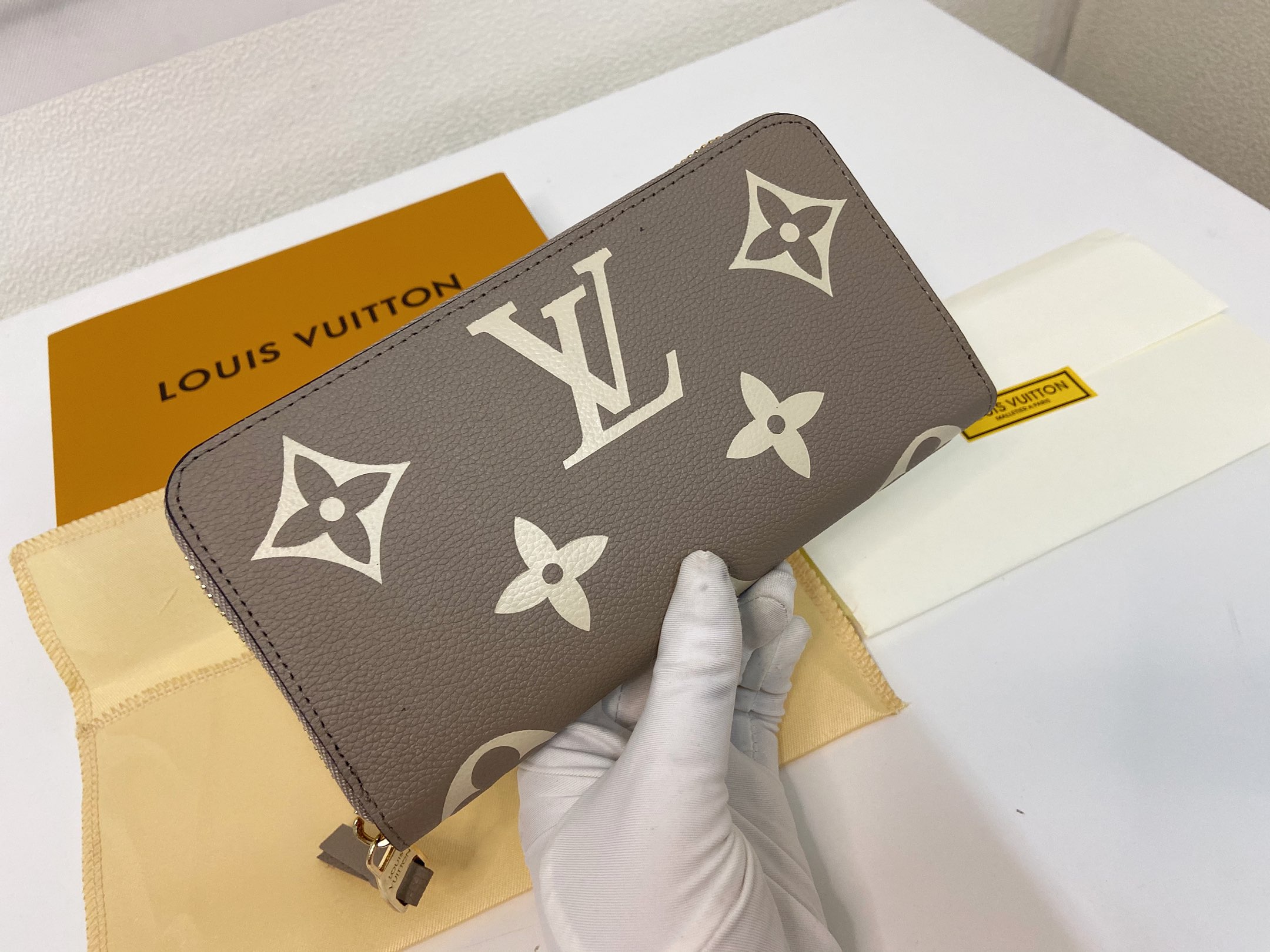 【LOUIS VUITTON】Pochette Félicie  19 x 10.5 x 2.5 cm -3色