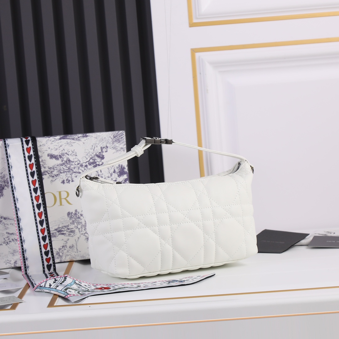 【DIOR】DIORTRAVEL NOMAD  -22 x 13 x 9.5 cm-6色