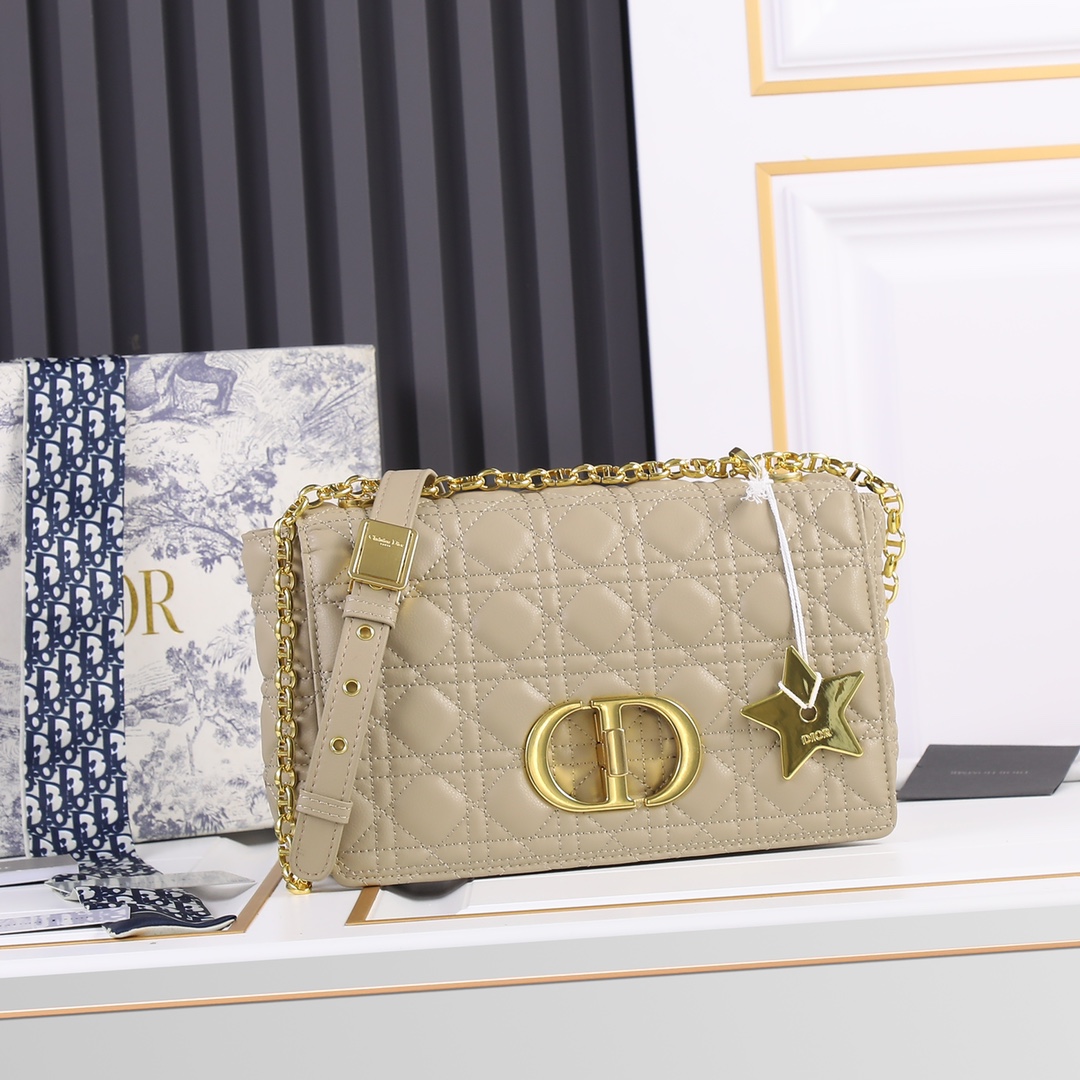 【ディオール】Dior 25-15-8 cm -6色