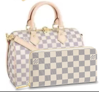 【大人気★】 speedy25 25x19x15CM 入手困難★ 三色