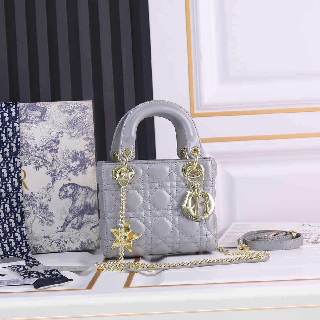 【ディオール】Dior lady 17 x 7.5 x 14cm -6色