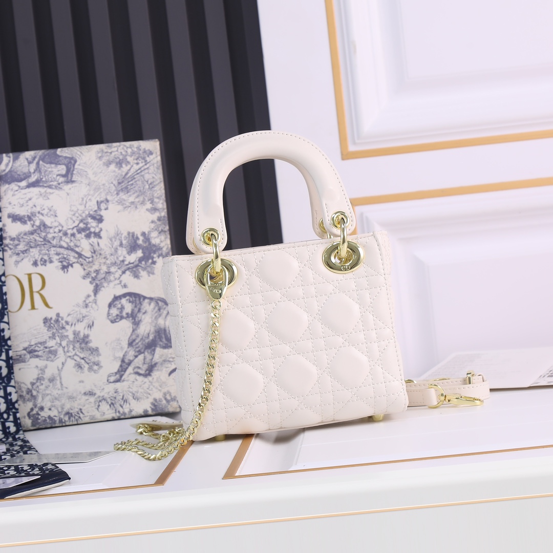 【ディオール】Dior lady 17 x 7.5 x 14cm -6色