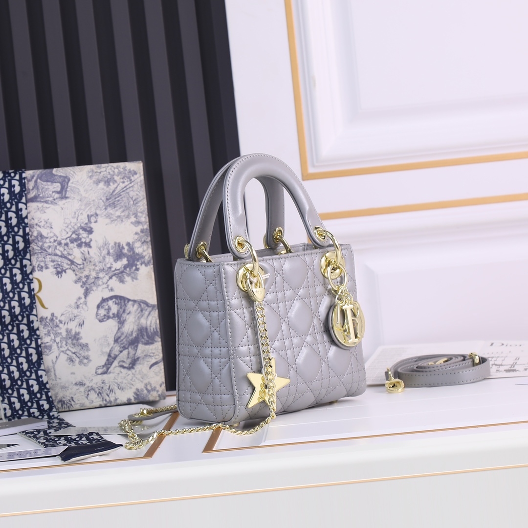 【ディオール】Dior lady 17 x 7.5 x 14cm -6色