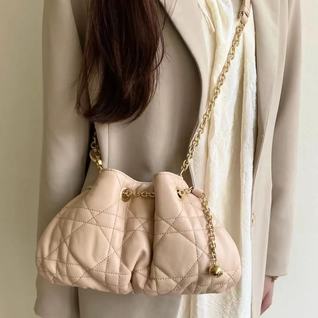 【DIOR】Dior Ammi  28*16*22cm