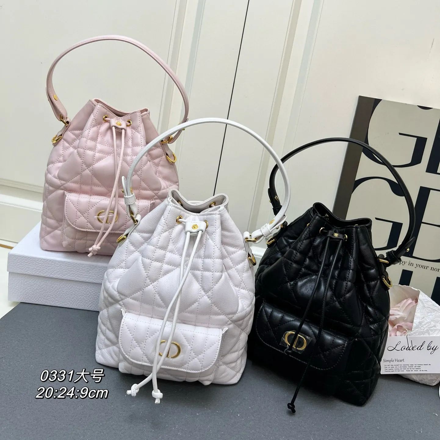 【DIOR】caro 20x24x9CM