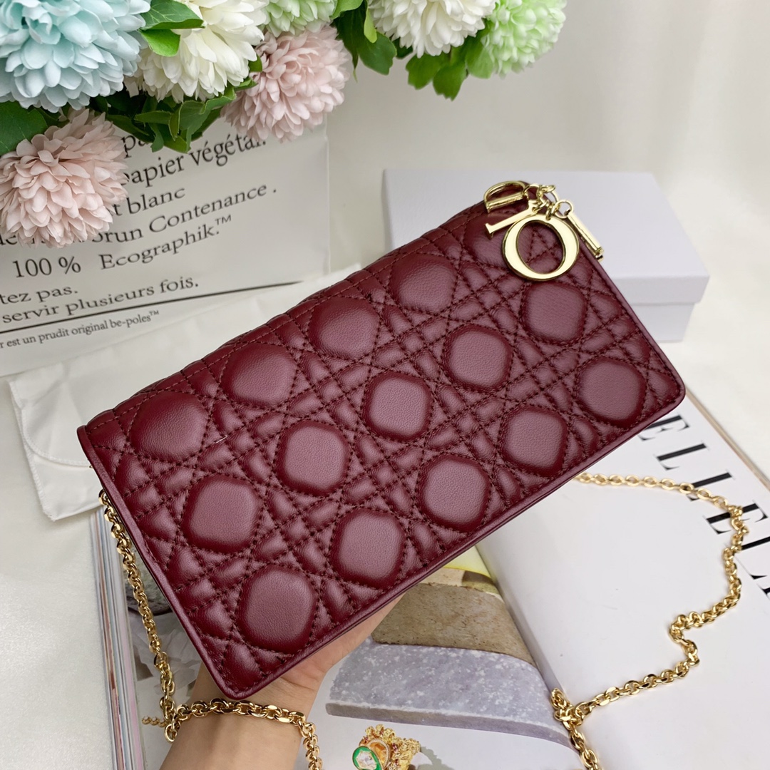 【DIOR】 21.5X12.5X6CM
