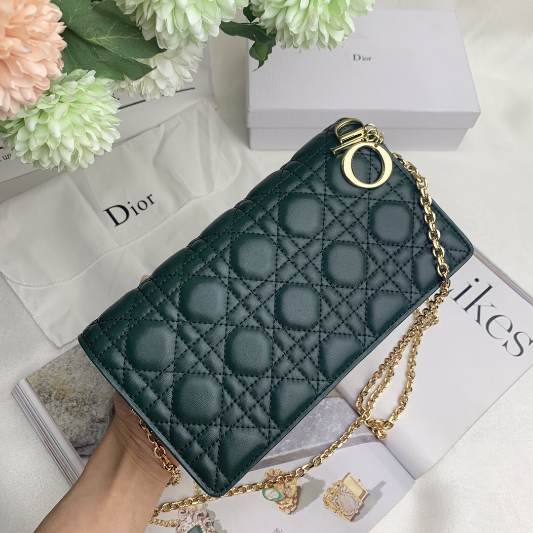 【DIOR】 21.5X12.5X6CM
