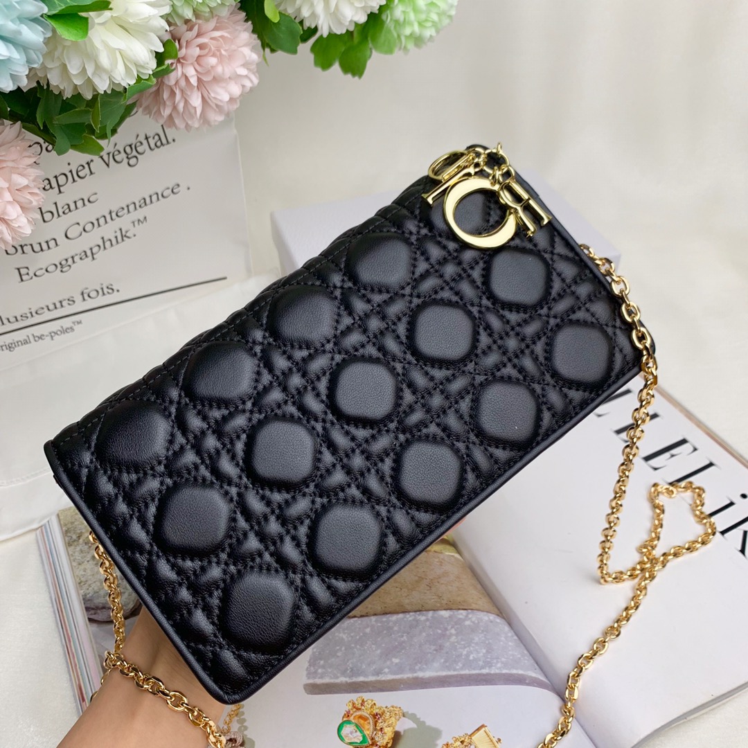 【DIOR】 21.5X12.5X6CM