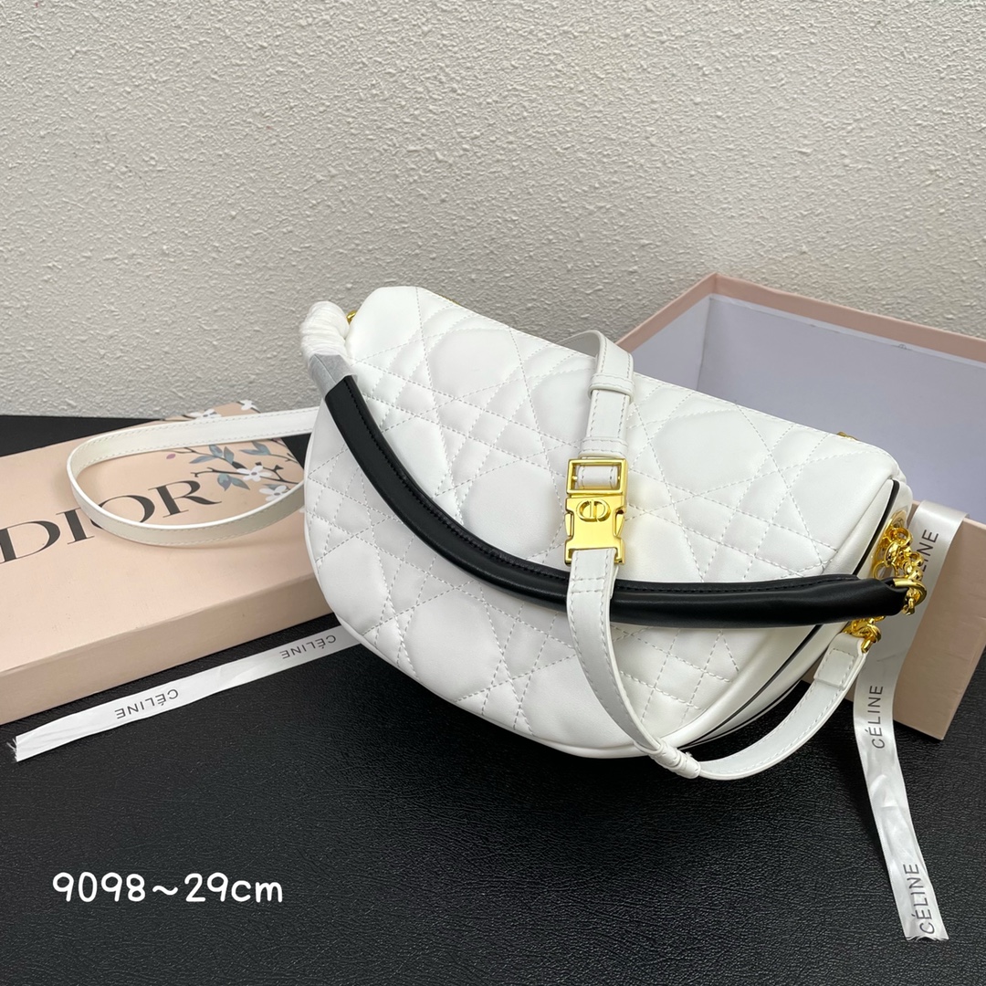 【DIOR】Vibe 29*19*9CM
