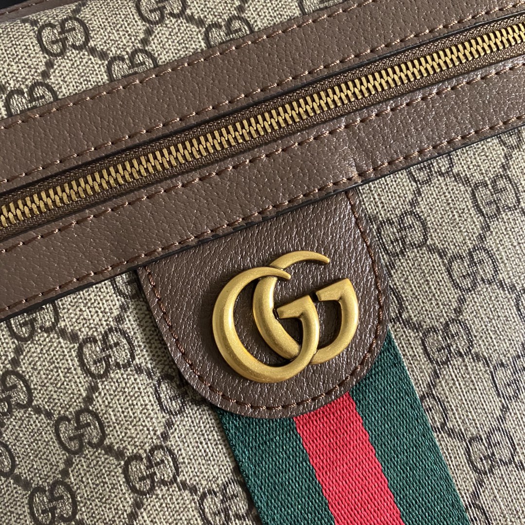 【GUCCI】GG ophidia