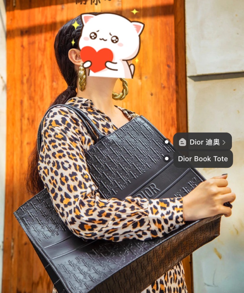 【DIOR】Book Tote