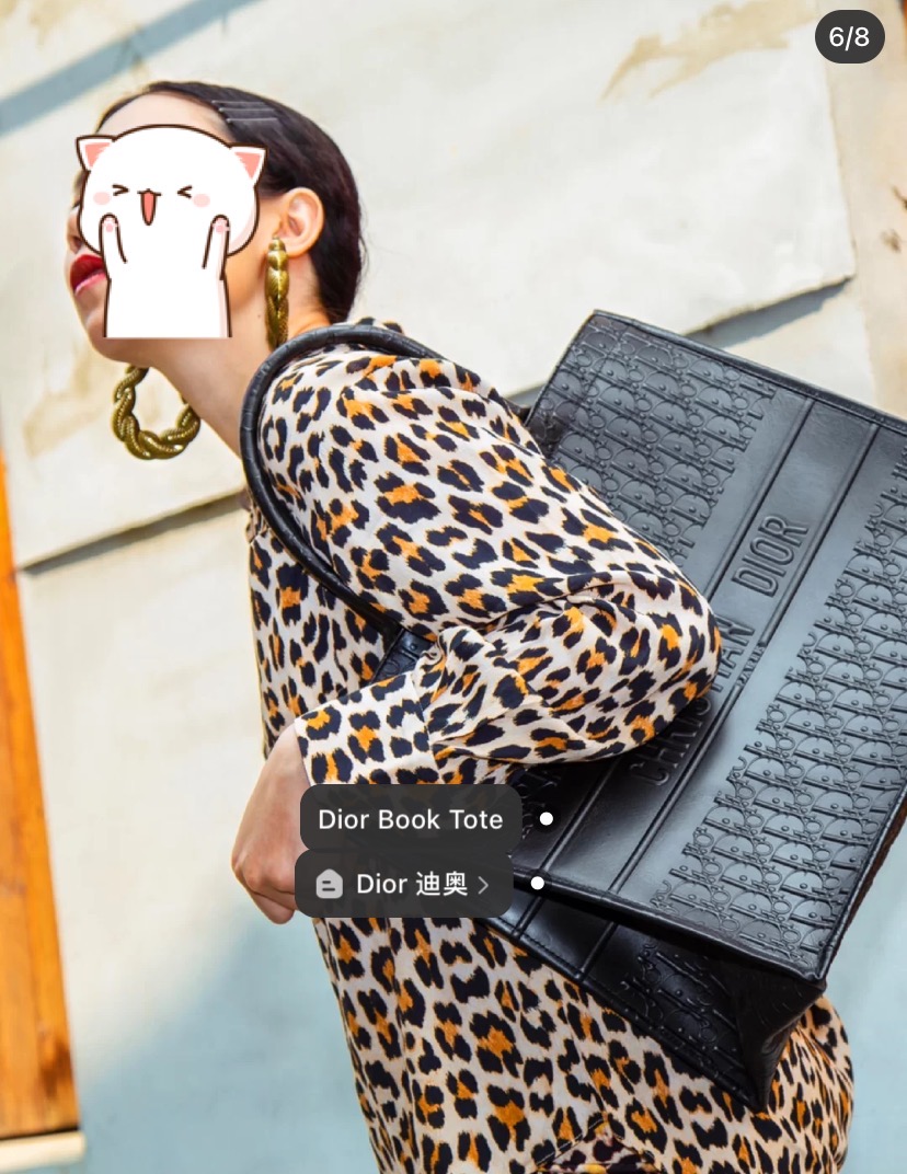 【DIOR】Book Tote