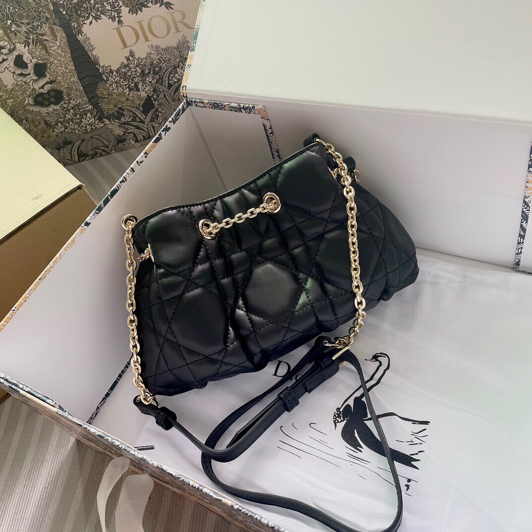 【DIOR】Dior Ammi  28*16*22cm