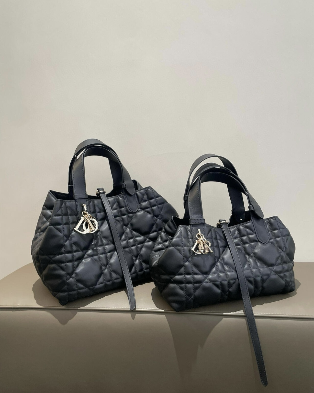 【DIOR】Dior Toujours