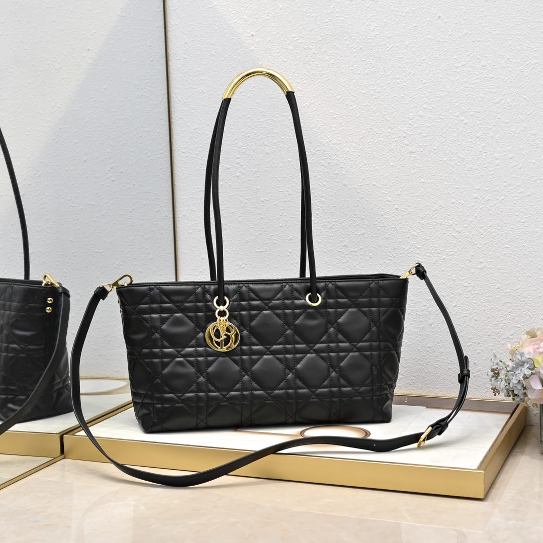 【DIOR】toujours 37x22 x12cm