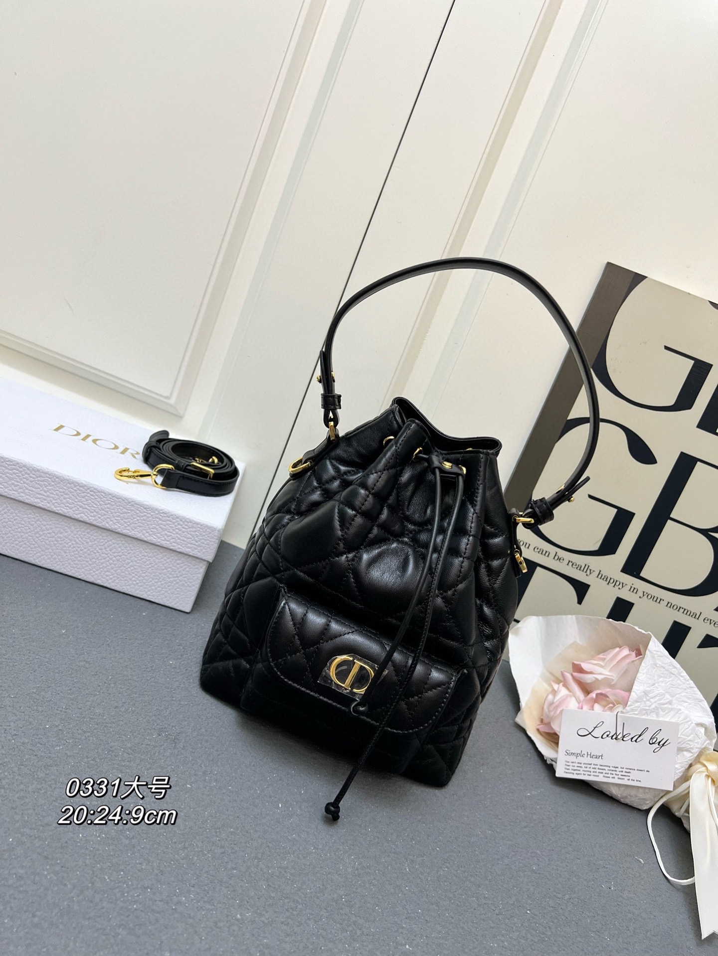 【DIOR】caro 20x24x9CM