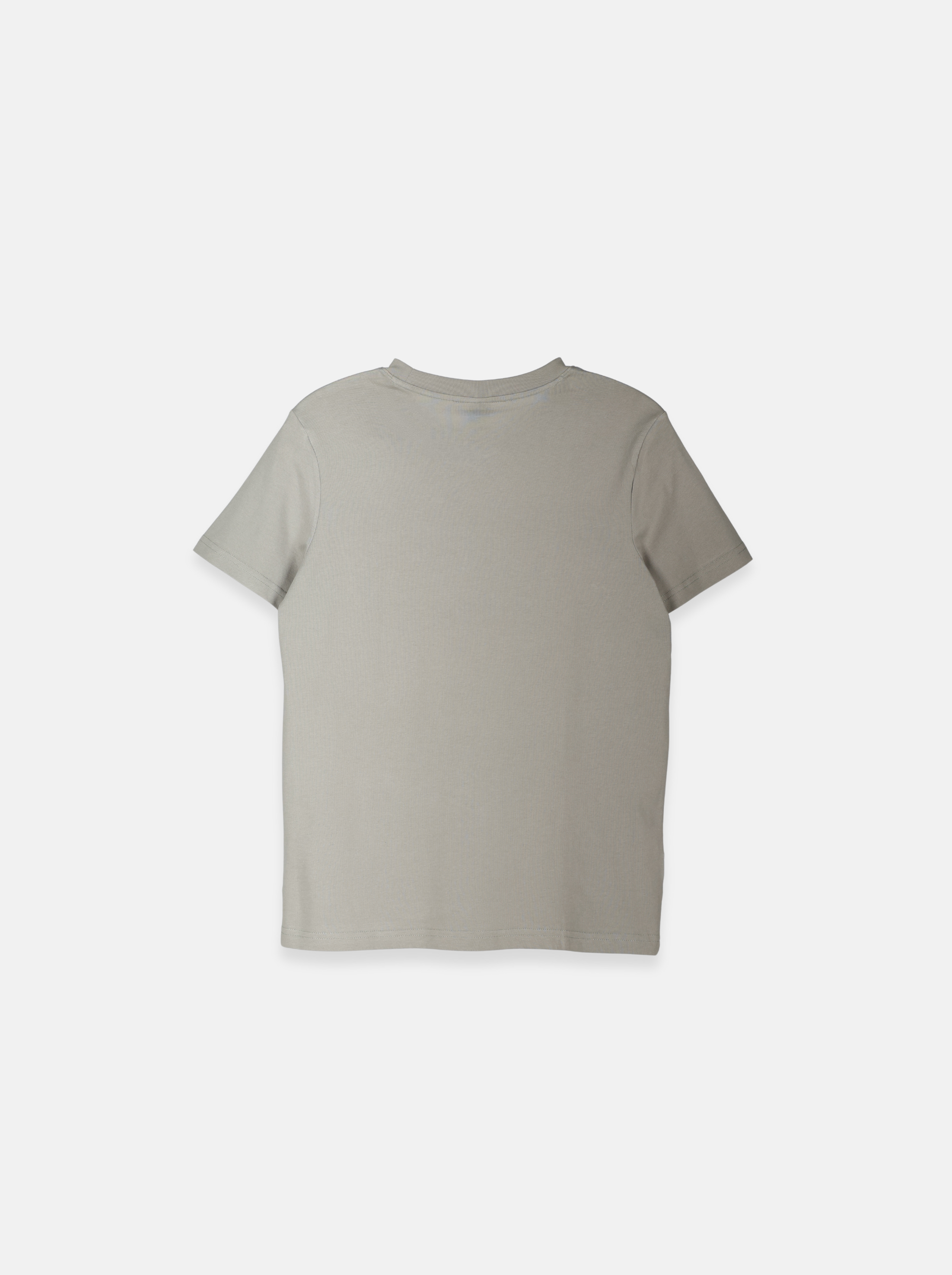 Regular Men's T-Shirt with "FRIENDLY MATCH" Logo Print  (YS30118)