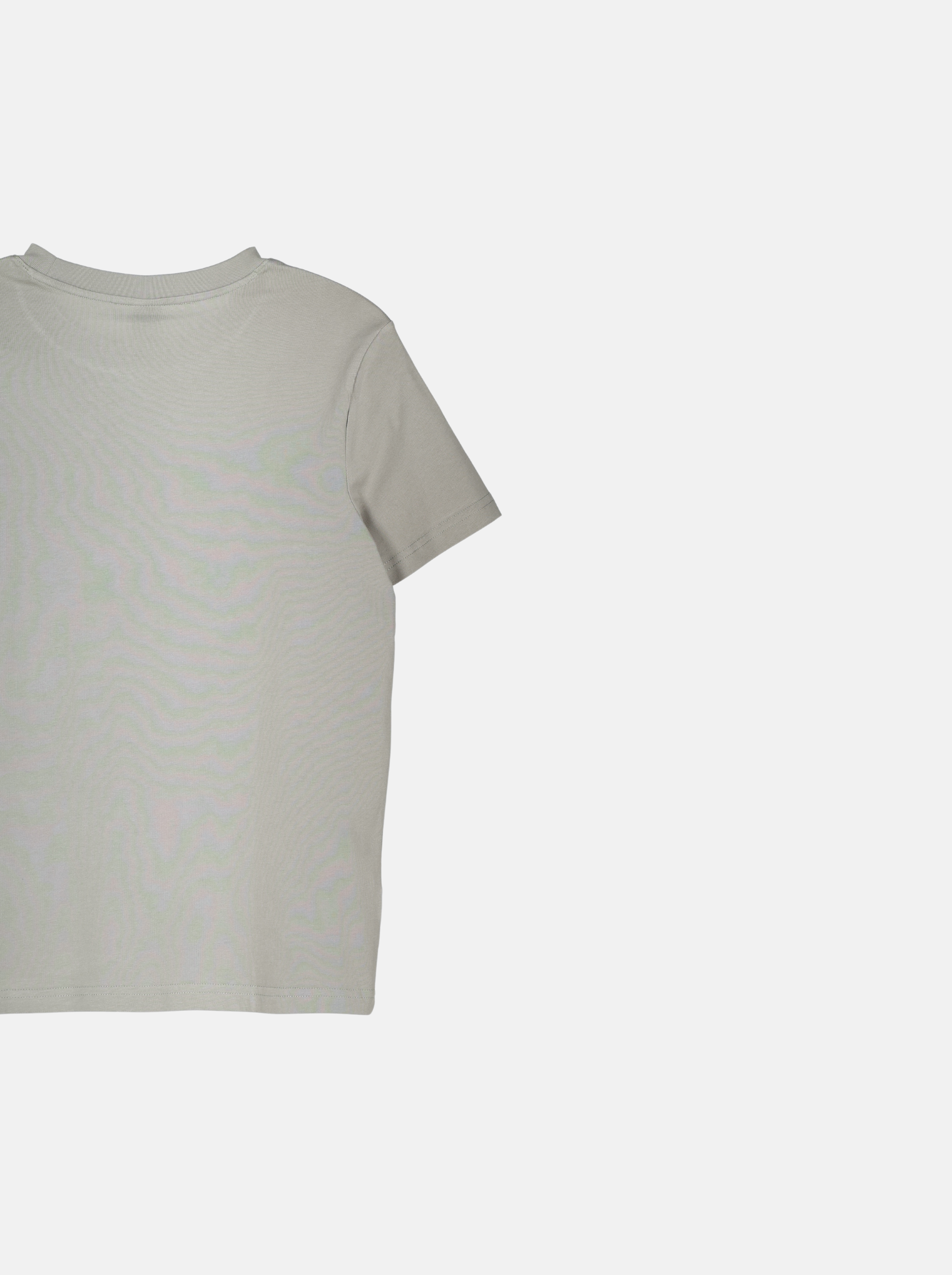 Regular Men's T-Shirt with "FRIENDLY MATCH" Logo Print  (YS30118)