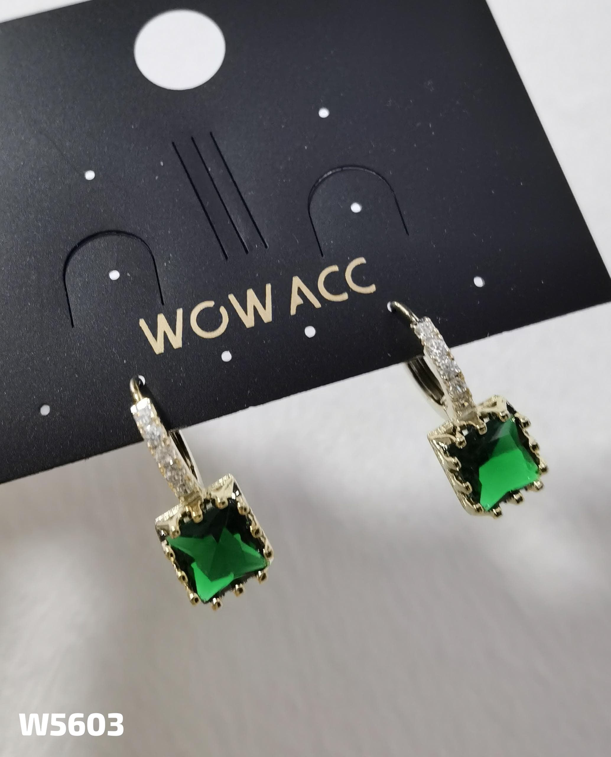【W5603】02-Non-silver pin earrings-BM15