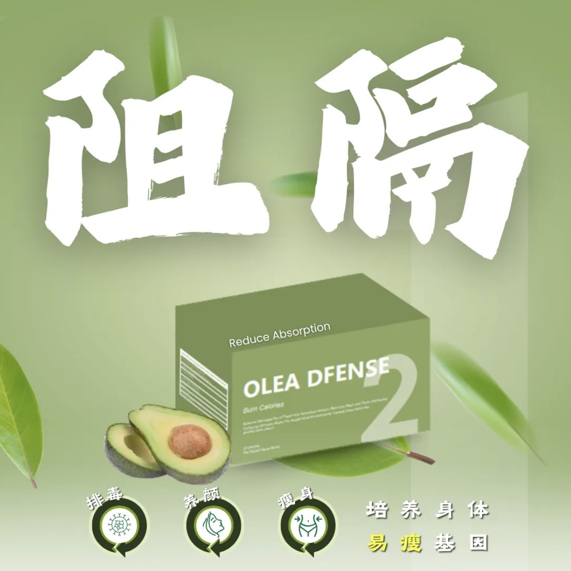 【HERSO】3 in 1 Weight Management Supplement