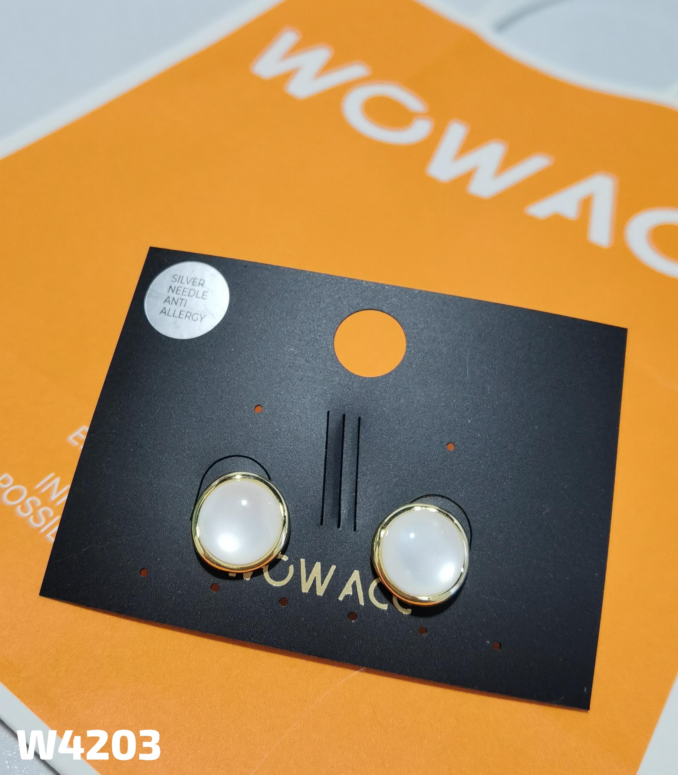 【W4203】01-Silver Pin Earrings-BM12